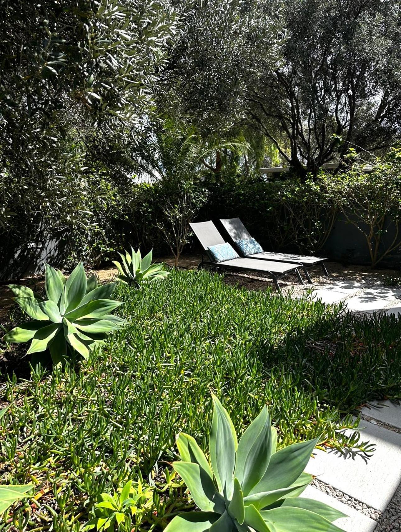 פורטו סנטו Bordal Houses Casa Da Areia מראה חיצוני תמונה